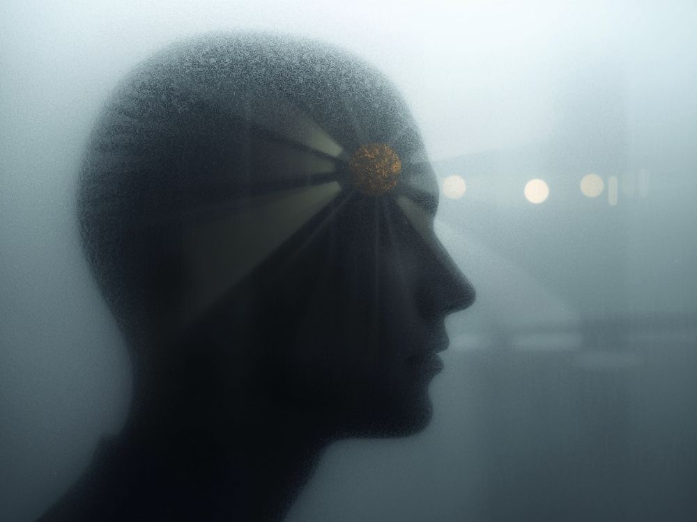 Sinueta humana - viés cognitivo